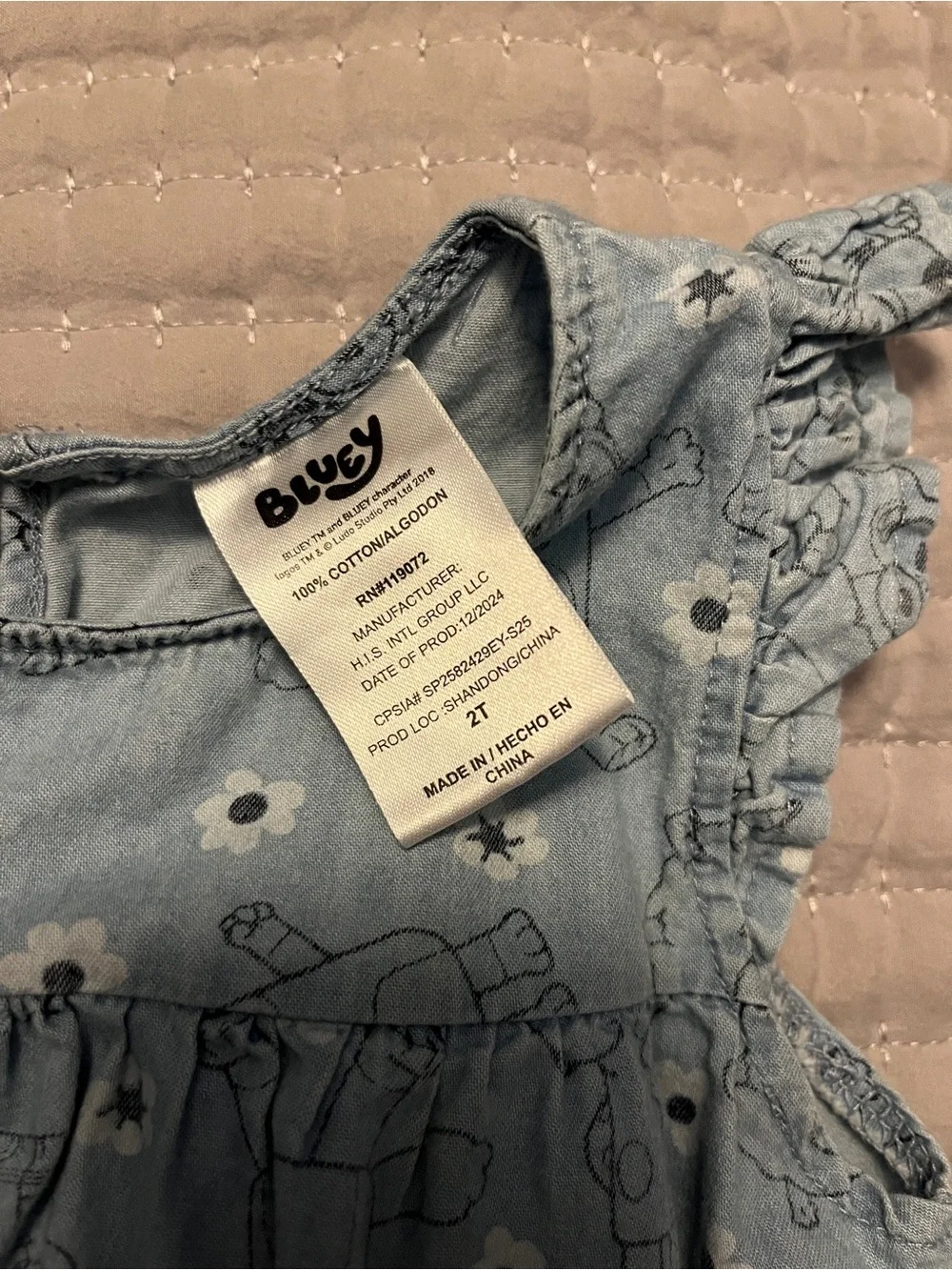 Light Blue Printed Girls' Denim-Style Bluey Dress with Ruffle Sleeves